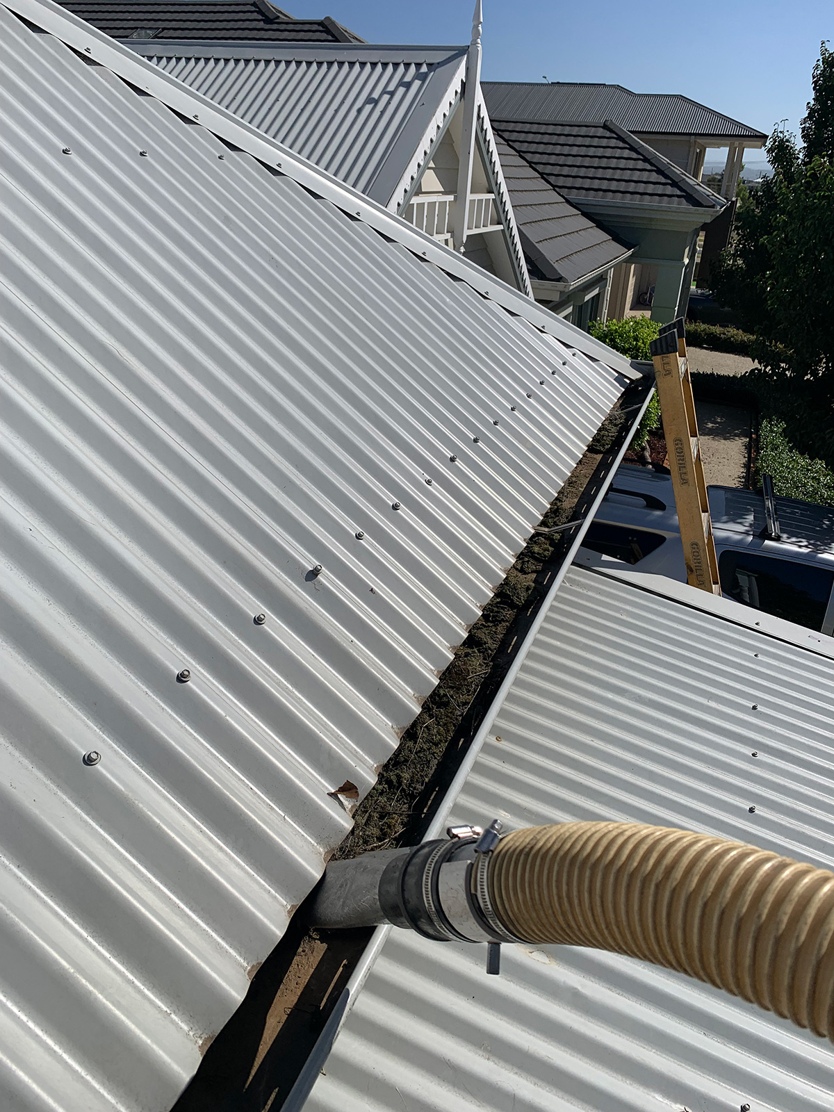 Gutter vacuum hose positioned along a metal roof